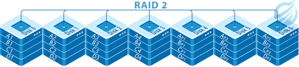 رید نوع 2 RAID2 