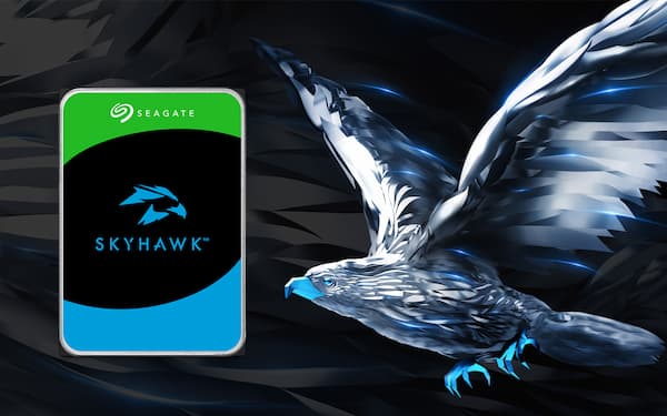 هارد SkyHawk سیگیت هارد SEAGATE اسکای بهترین قیمت هارد فروشگاه رایانو .